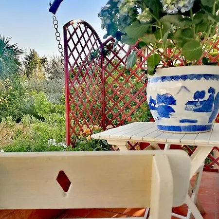 Colori Della Versilia