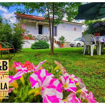 Colori Della Versilia *